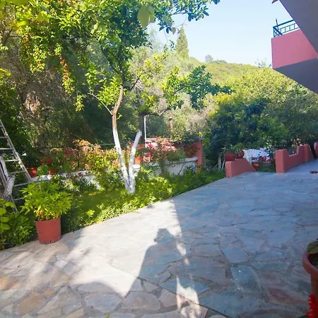 Athina * פאלאוקסטריצה